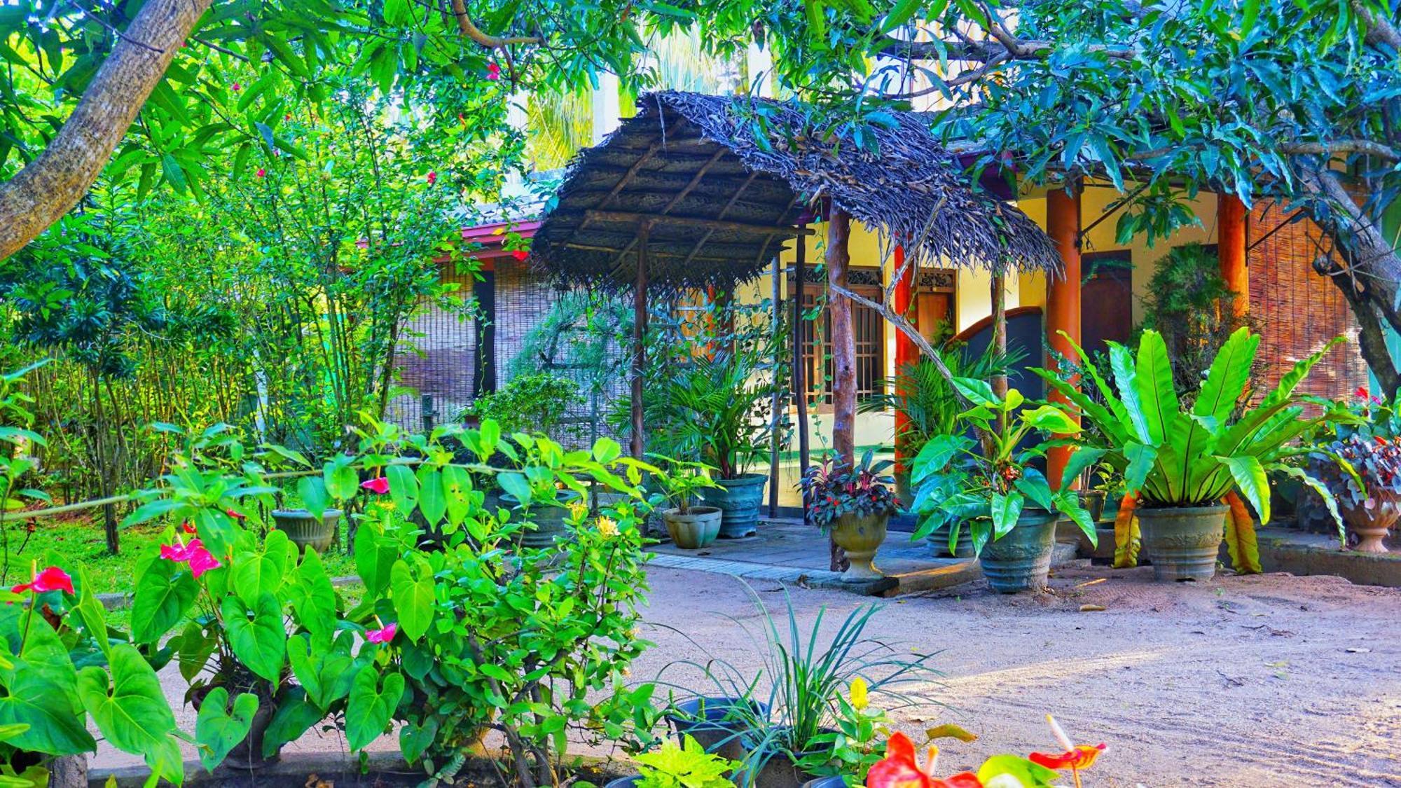 Sigiri Dilu Villa Sigiriya Exteriör bild