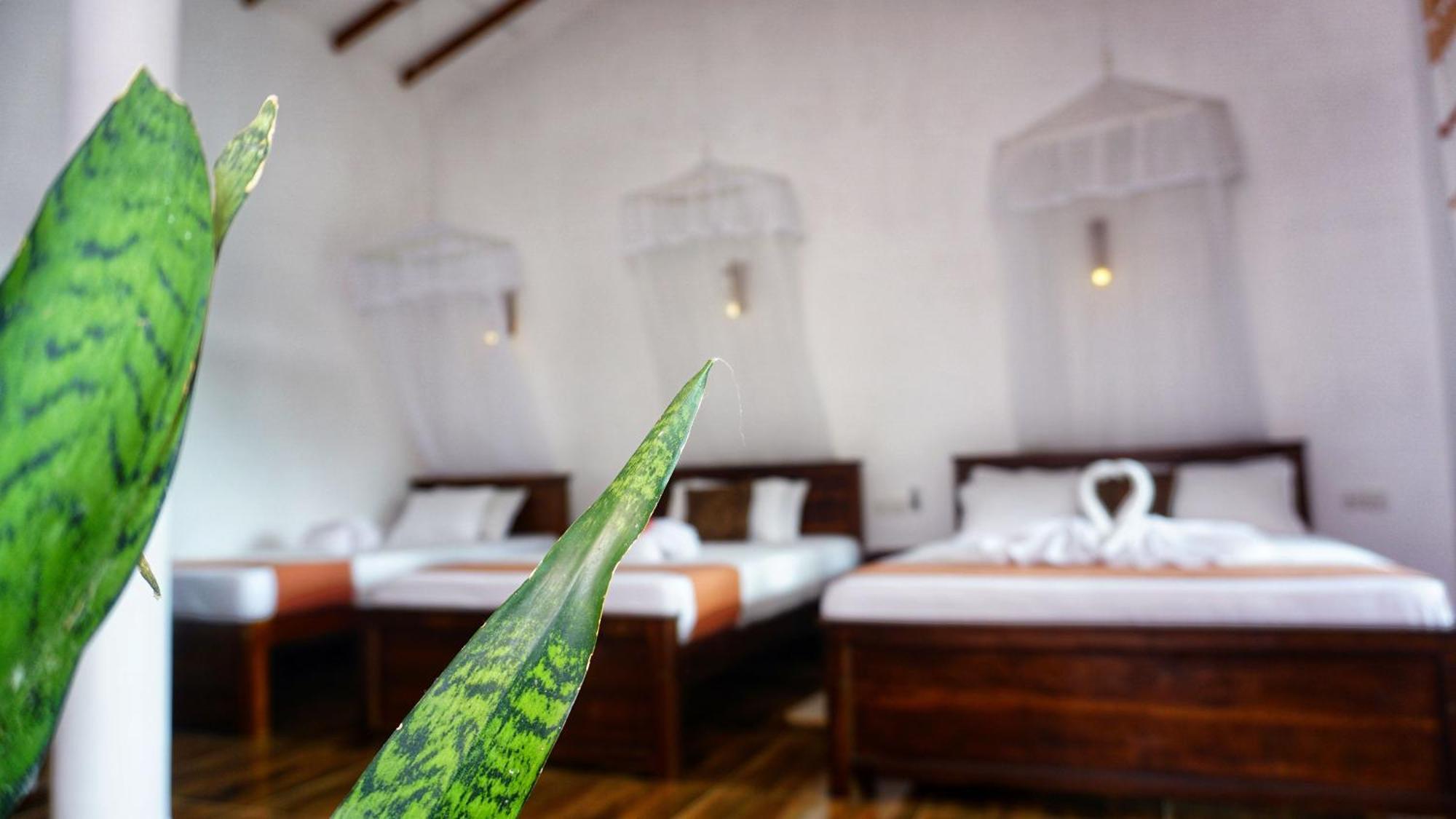 Sigiri Dilu Villa Sigiriya Exteriör bild
