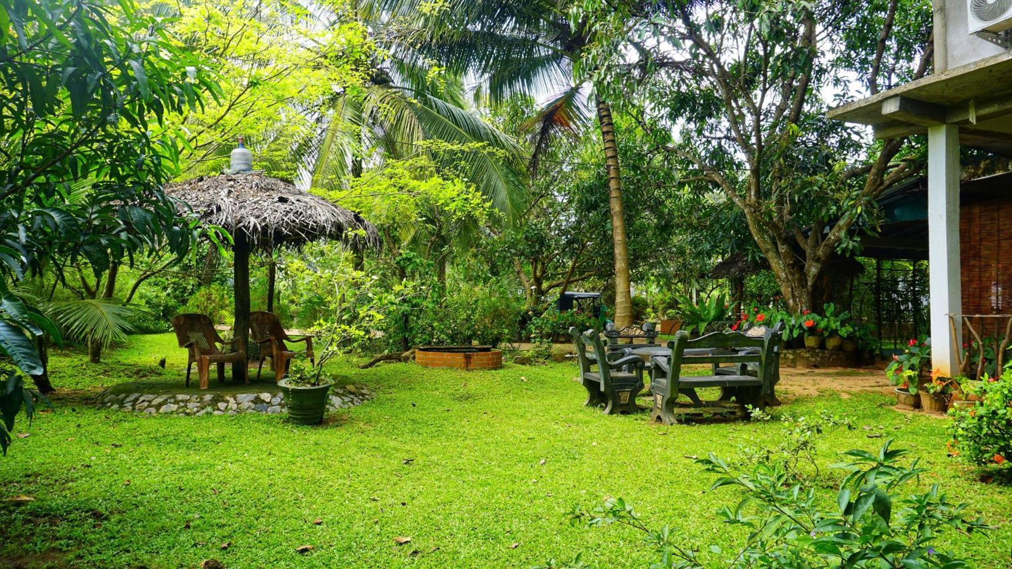 Sigiri Dilu Villa Sigiriya Exteriör bild