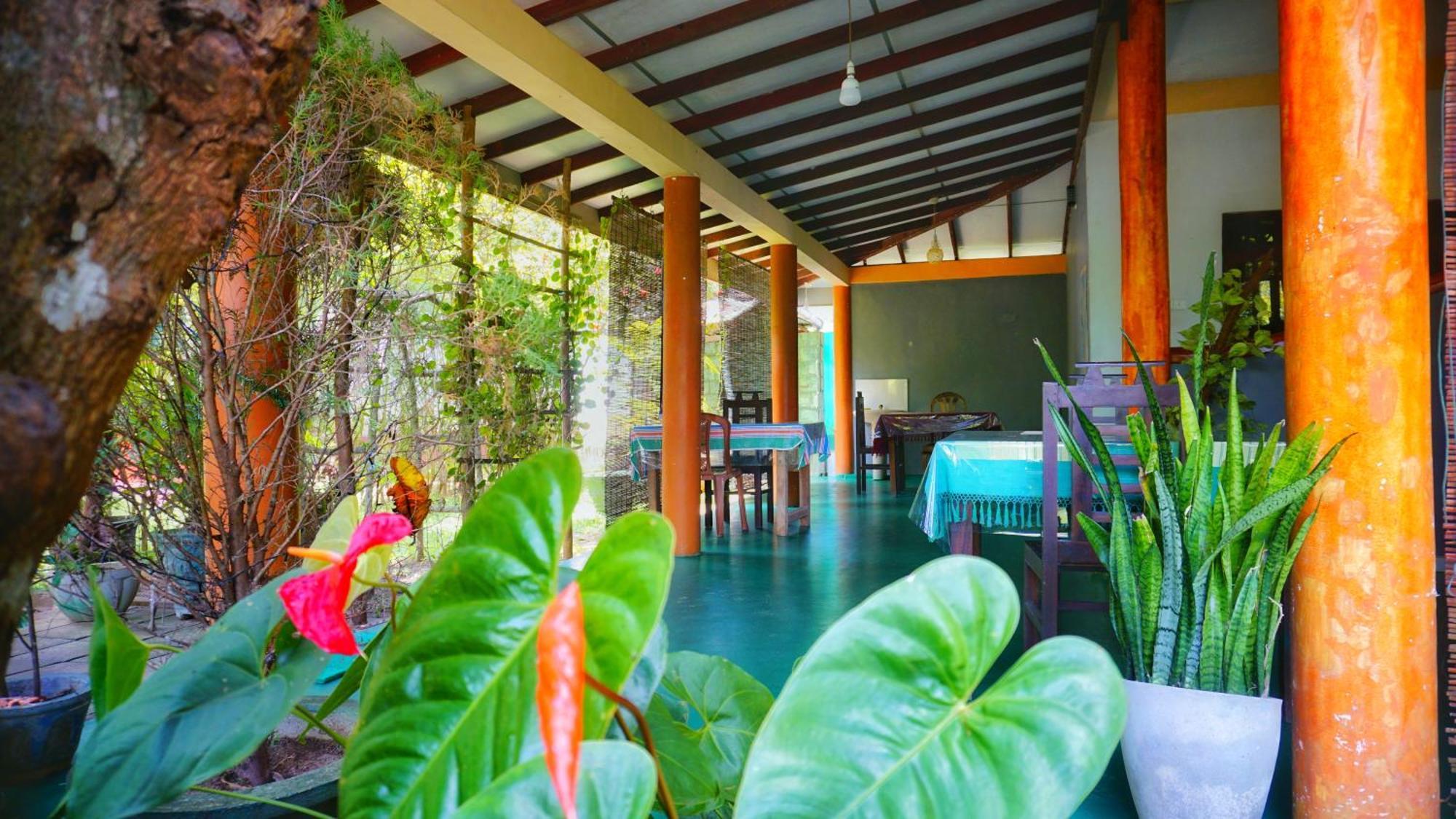 Sigiri Dilu Villa Sigiriya Exteriör bild